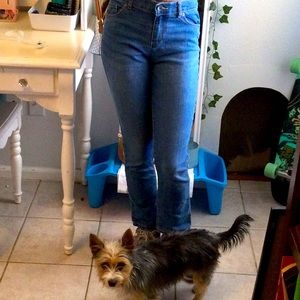 Child’s blue skinny jeans (childrens place)